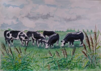 De andere Peter Eisenburger - Koeien in Friesland